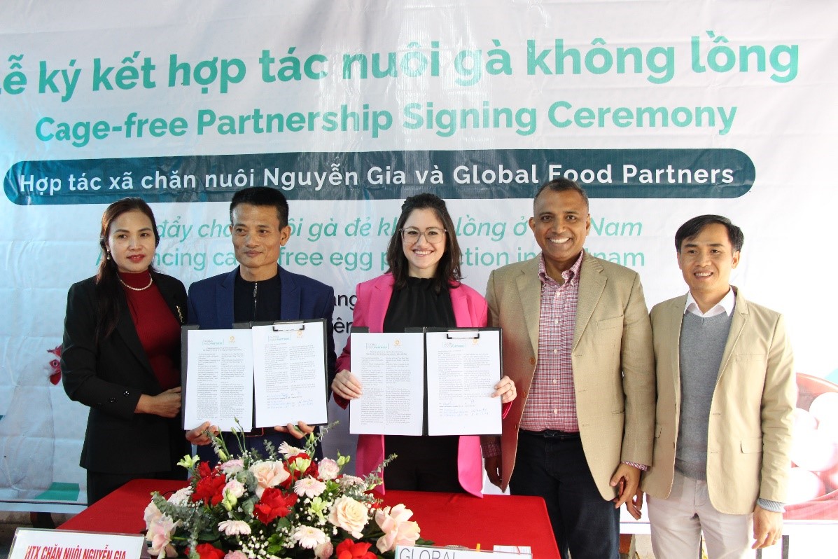 Global Food Partners’ Impact Incentives Program Drives Vietnam’s Largest Transition to Cage-free Egg Production