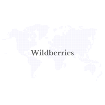 Wildberries to More Than Double Warehouse Capacity in 2025