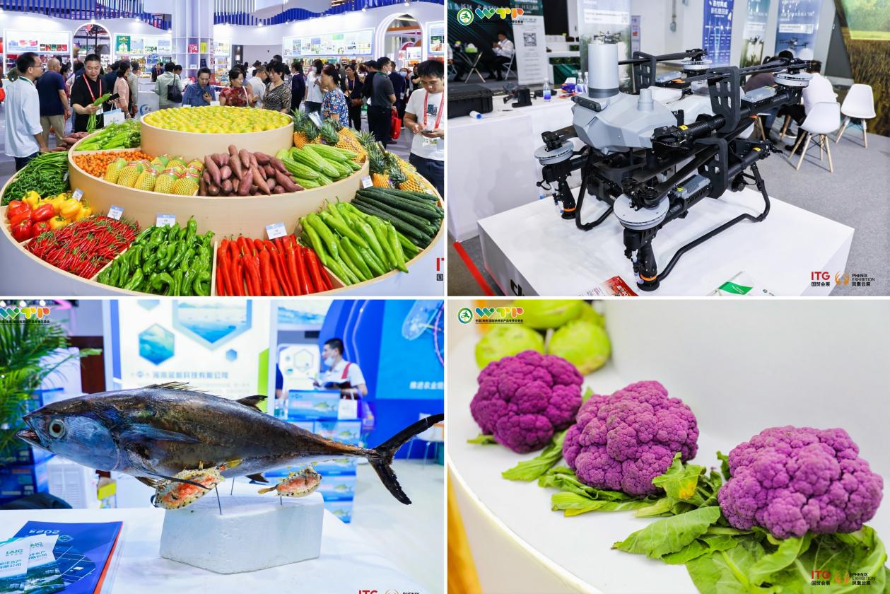 Over 2,000 Enterprises Worldwide Join China (Hainan) International Trade Fair for Tropical Agricultural Products