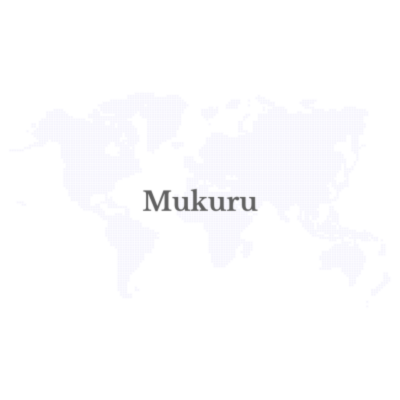 Mukuru launches mobile wallet in Zimbabwe to bolster financial inclusion