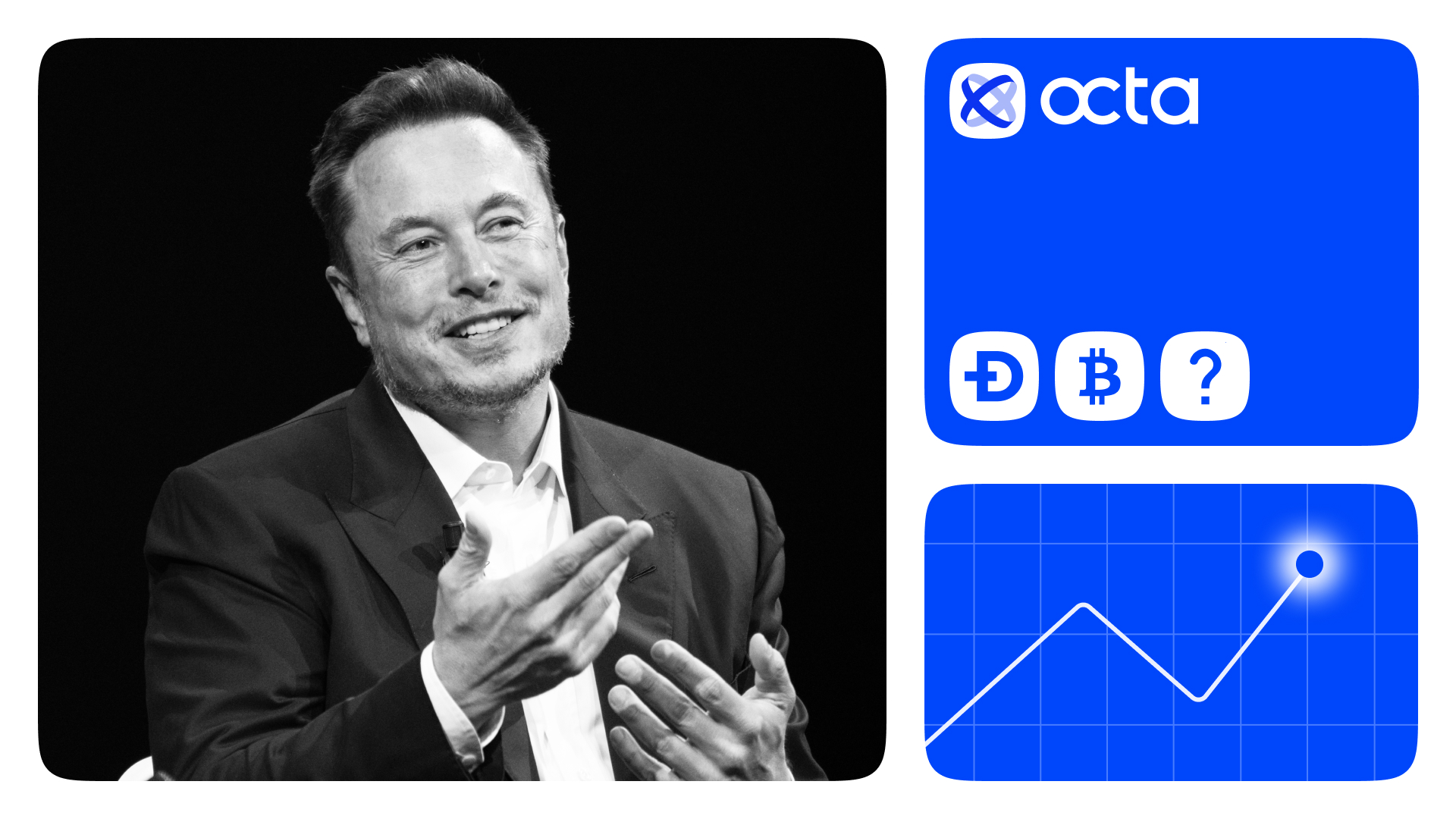 Musk, memecoins, and the crypto market: Octa broker’s expert view