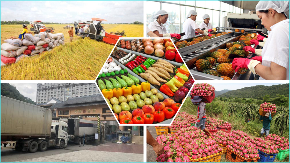 President Xi Jinping’s visit to Vietnam: Marking the 75th anniversary of diplomatic relations and boosting bilateral trade in agriculture, forestry and fisheries